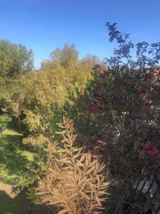 فيلا Casa Incantevole Con Vista Parco Appia Antica روما المظهر الخارجي الصورة
