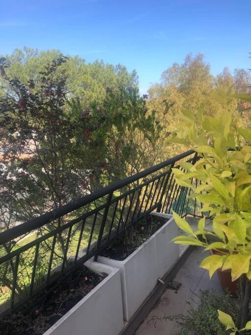 فيلا Casa Incantevole Con Vista Parco Appia Antica روما المظهر الخارجي الصورة